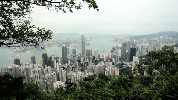 Skyline в Hong Kong — стокове відео