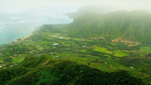 Vue aérienne vallée tropicale littoral — Video