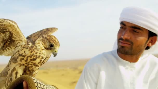 Saker falcon tethered to owners wrist — Stock Video