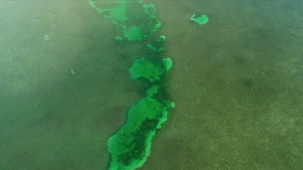 Veduta aerea del mare color acqua nelle acque poco profonde della laguna Biscayne Bay, Florida — Video Stock