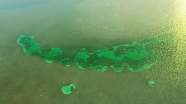Aerial view of aqua coloured sea in shallow lagoon waters Biscayne Bay, Florida — Stock Video