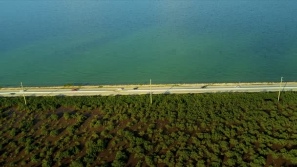 Дорога во Флориду — стоковое видео