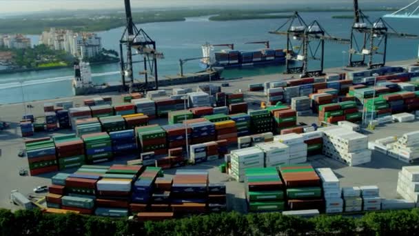 Porto de contêiner de transporte internacional de Miami — Vídeo de Stock