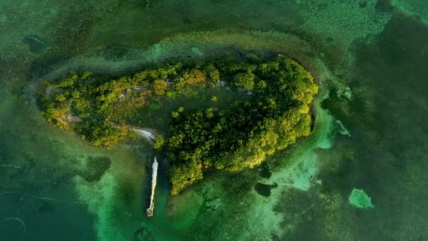 Pemandangan udara dari pulau sub tropis kecil di Florida — Stok Video
