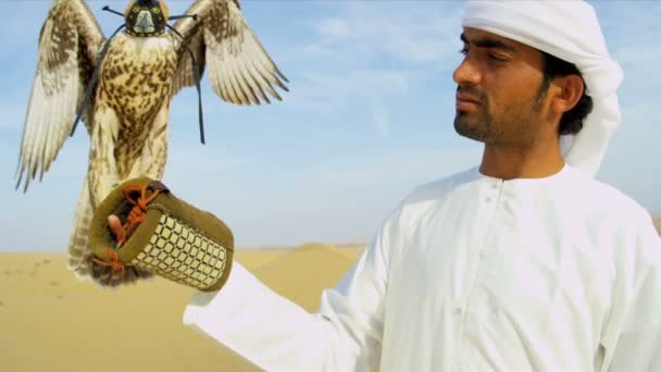 Saker falcon tethered to owners wrist — Stock Video