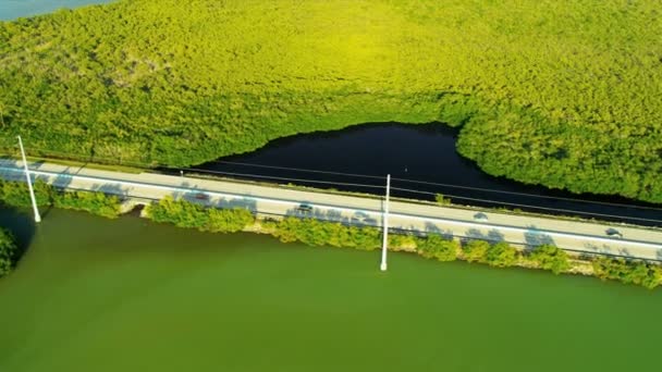 Bagna skrzyżowania autostrady Key Largo — Wideo stockowe