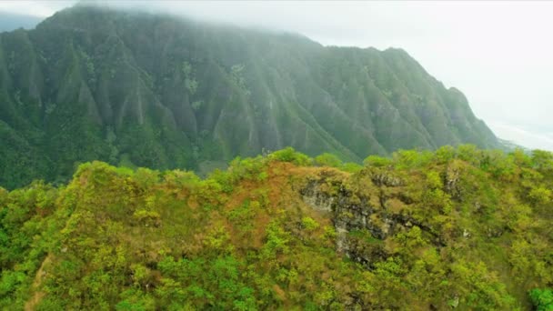 Vue aérienne sur les crêtes de lave volcanique, Hawaï — Video