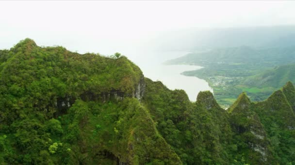 Aerial view steep volcanic cliffs, Hawaii — Stock Video