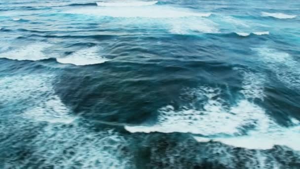 Aerial view of Ocean waves — Stock Video