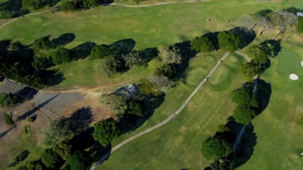 Поле для гольфа с видом с воздуха, Гонолулу, Гавайи — стоковое видео