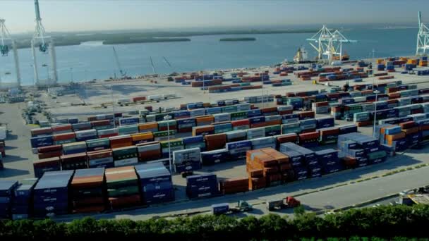Διεθνή ναυτιλία εμπορευματοκιβωτίων λιμάνι στο Μαϊάμι — Αρχείο Βίντεο