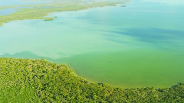 Luchtfoto wetlands Zuid florida weergeven — Stockvideo