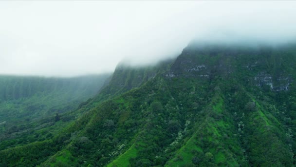 Volcanic cliffs shrouded in cloud — Stock Video