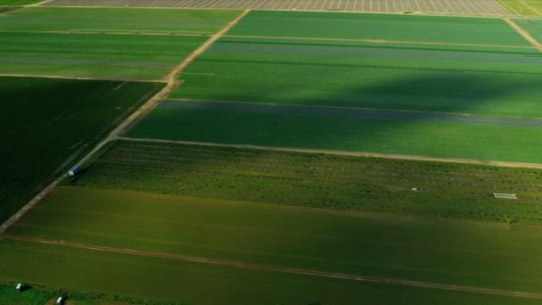 Luftaufnahme landwirtschaftliche Anbauflächen südlich Floridas — Stockvideo