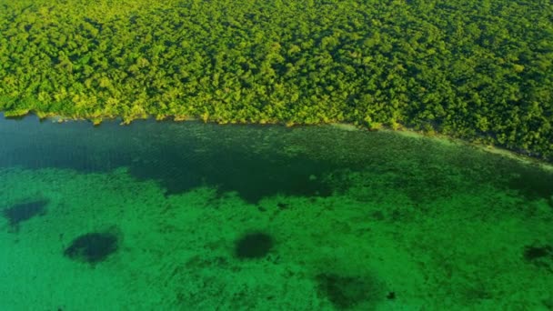 Florida doğa Üstten Görünüm — Stok video