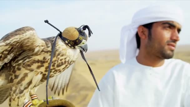 Pájaro en capucha de cetrería con dueño masculino — Vídeos de Stock