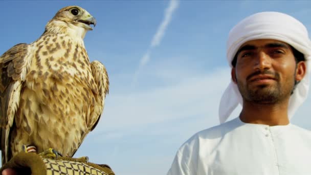 Saker falcon bundna till ägarna handled — Stockvideo