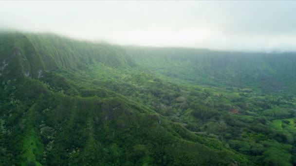 Aerial view of volcanic cliffs, Hawaii — Stock Video