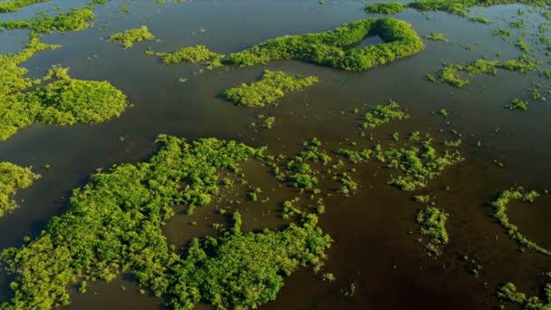 Vue Aérienne Île Côtière Zones Humides Sud De La Floride — Video