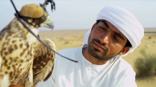 Falconer stroking feathers of bird — Stock Video