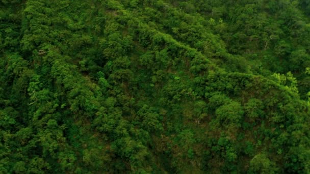 Вид с воздуха на плодородные вулканические скалы, Гавайи — стоковое видео