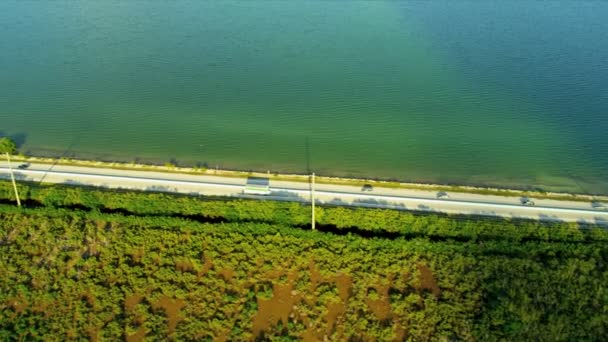 Carretera cruzando pantanos Key Largo — Vídeos de Stock