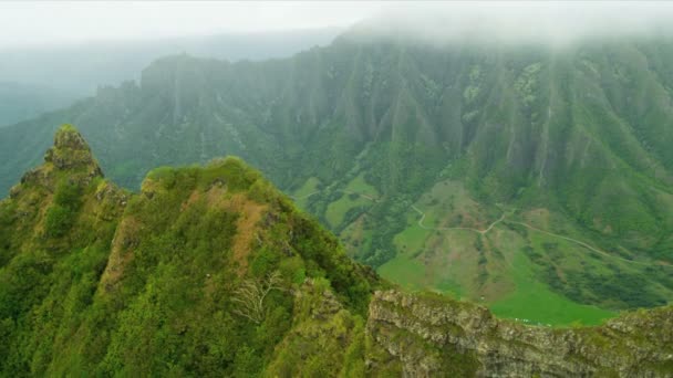 Flygfoto över växtligheten på lava klippor, Hawaii — Stockvideo