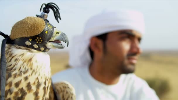 Bird in falconry hood with male owner — Stock Video