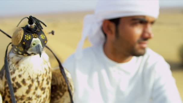 Bird in falconry hood with male owner — Stock Video