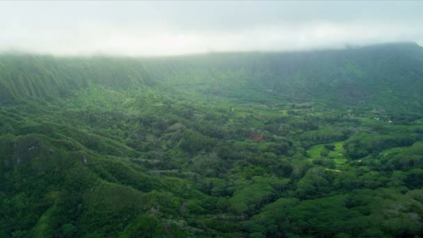 Aerial view of volcanic cliffs, Hawaii — Stock Video