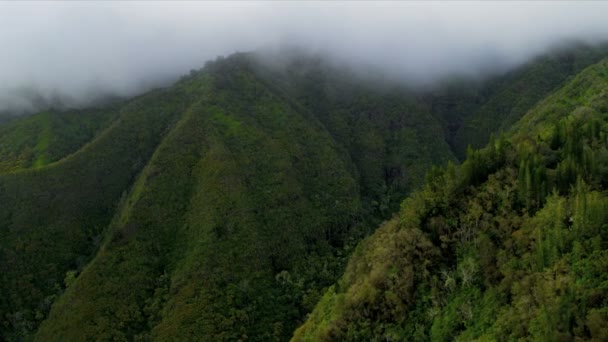 Luchtfoto van vulkanische lava rotsen, Hawaii — Stockvideo