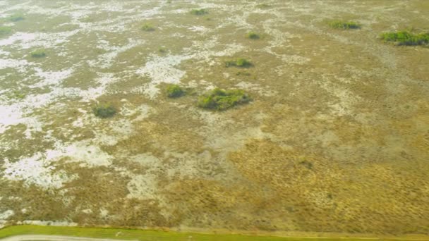 Flygfoto florida everglades träsk, usa — Stockvideo