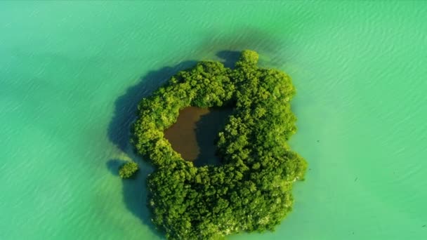 Aerial view coastal Island  Everglades, Southern USA — Stock Video