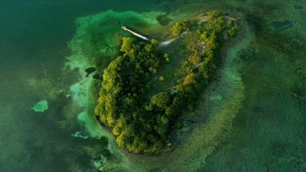 Aerial view of small sub tropical Island in Florida — Stock Video