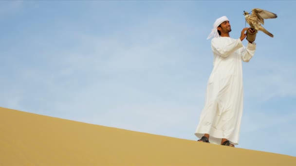 Emiraty człowiek z wyszkolonych Sokół — Wideo stockowe