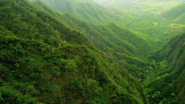 Verimli ve volkanik kayalıklarla, Hawaii havadan görünümü — Stok video