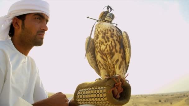 Арабский человек с обученным соколом — стоковое видео