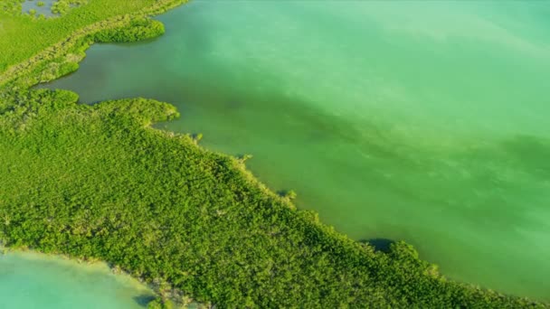 Вид с воздуха Южный субтропический остров, США — стоковое видео