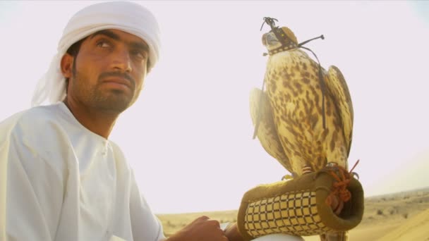 Arabische man met opgeleide falcon — Stockvideo