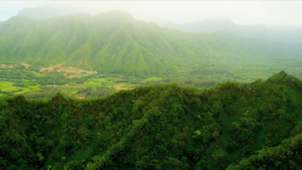 Vista aérea de acantilados volcánicos fértiles, Hawaii — Vídeos de Stock