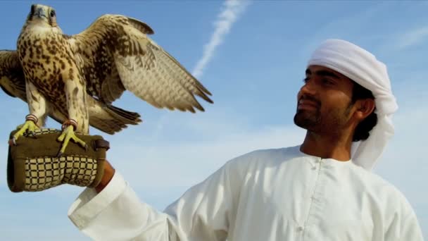 Saker falcon tethered to owners wrist — Stock Video