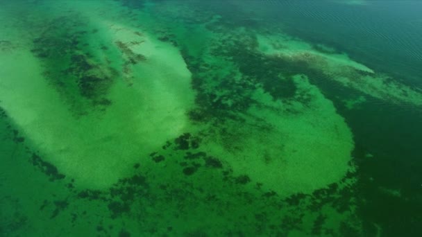 Vista superior de la naturaleza en Florida — Vídeo de stock