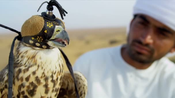 Bird in falconry hood with male owner — Stock Video