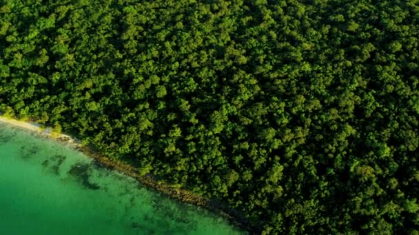 Vista superior de la naturaleza en Florida — Vídeos de Stock