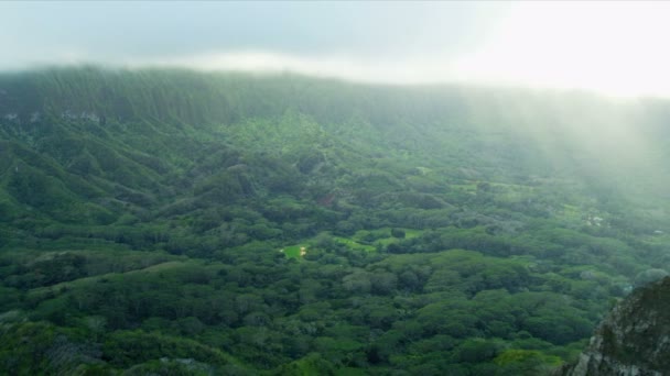 Luchtfoto van vulkanische rotsen, Hawaii — Stockvideo