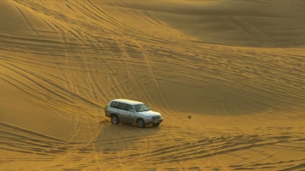 Off road car taking visitors to Dubai — Stock Video