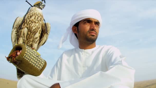 Homem árabe com falcão treinado — Vídeo de Stock