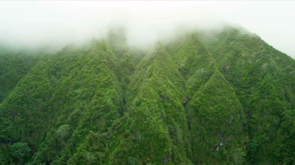 Zengin tropik bitki örtüsü, Hawaii ile volkanik kayalıklarla — Stok video