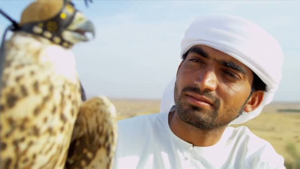 Arabische man met opgeleide falcon — Stockvideo