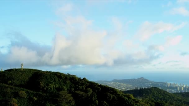 Tropikalny las deszczowy, Hawaje — Wideo stockowe